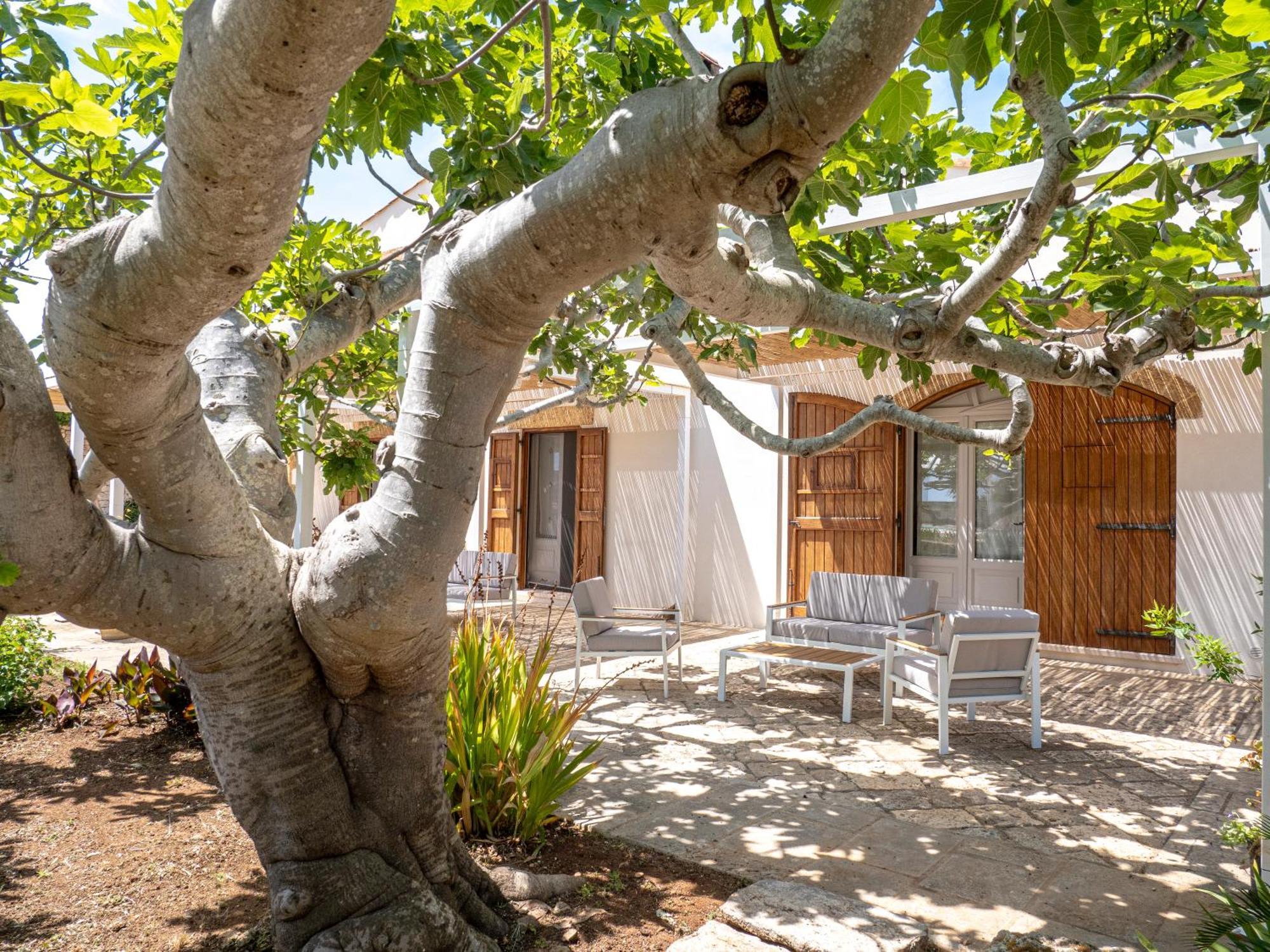 Agriturismo Masseria Alcorico Gagliano del Capo Ngoại thất bức ảnh